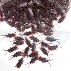 Prank Fake Roaches, Favorite Trick Joke Toys Look Real, Scary Insects Realistic Plastic Bugs, Novelty Cockroach for Party, Christmas, Halloween