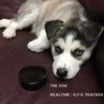 The DISK - Real-Time 4G GPS Tracker w/ Magnet - Image 5